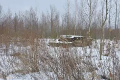 21564 - zdjęcie nr 2