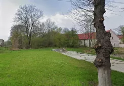 21565 - zdjęcie nr 1