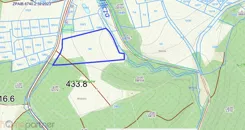 21716 - zdjęcie nr 2