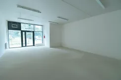 21581 - zdjęcie nr 2
