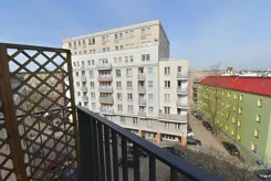 21609 - zdjęcie nr 2