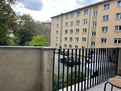 21833 - zdjęcie nr 2