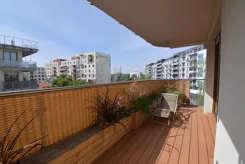 21623 - zdjęcie nr 2