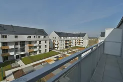 21604 - zdjęcie nr 3