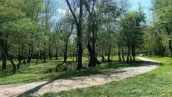 21662 - zdjęcie nr 3