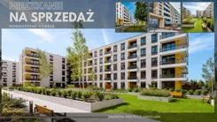 21240 - zdjęcie nr 2
