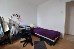 21144 - zdjęcie nr 0