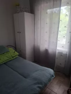 530 - zdjęcie nr 2