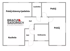 BS2-DS-314891-37 - zdjęcie nr 1