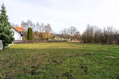 BS5-DS-313194-18 - zdjęcie nr 4