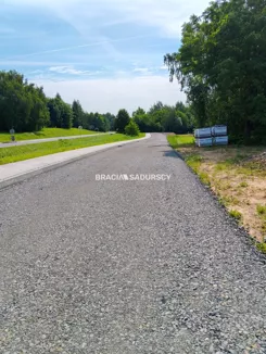 BS1-GS-316159-9 - zdjęcie nr 4