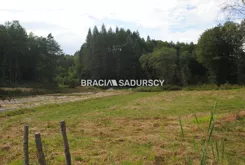 BS1-GS-273652-242 - zdjęcie nr 0