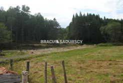 BS1-GS-273652-242 - zdjęcie nr 1