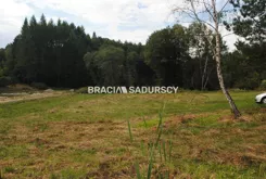 BS1-GS-273652-242 - zdjęcie nr 2