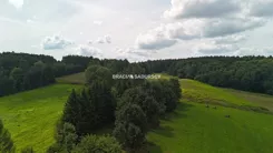 BS5-GS-317340-65 - zdjęcie nr 3