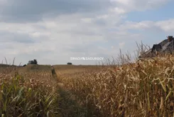 BS1-GS-312215-29 - zdjęcie nr 2