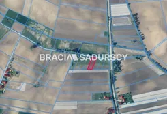 BS5-GS-286389-230 - zdjęcie nr 2