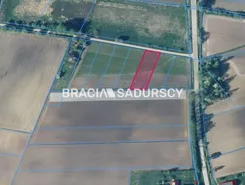 BS5-GS-286388-229 - zdjęcie nr 2