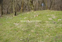 BS1-GS-312635-453 - zdjęcie nr 1