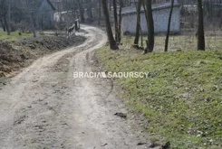 BS1-GS-312635-454 - zdjęcie nr 0