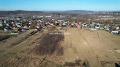 BS5-GS-305983-50 - zdjęcie nr 4