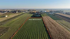 BS5-GS-313226-17 - zdjęcie nr 4