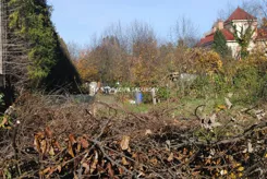 BS1-GS-312864-37 - zdjęcie nr 3