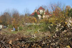 BS1-GS-312864-38 - zdjęcie nr 2