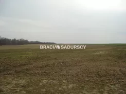 BS3-GS-262356-225 - zdjęcie nr 2