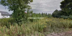 BS5-GS-309129-151 - zdjęcie nr 4