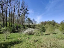 BS4-GS-313987 - zdjęcie nr 3