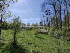 BS4-GS-313987 - zdjęcie nr 4