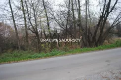 BS1-GS-312633-406 - zdjęcie nr 1