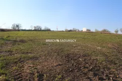 BS1-GS-287057-266 - zdjęcie nr 4