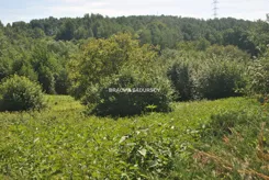 BS1-GS-315546-9 - zdjęcie nr 0