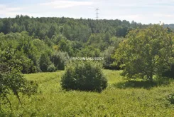 BS1-GS-315546-9 - zdjęcie nr 3