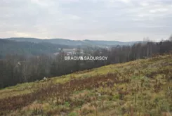 BS1-GS-312660-314 - zdjęcie nr 0