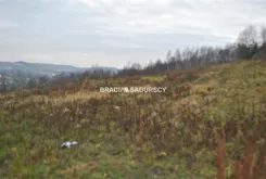 BS1-GS-312660-314 - zdjęcie nr 1