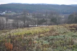 BS1-GS-312660-314 - zdjęcie nr 4