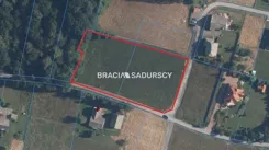 BS5-GS-306957-48 - zdjęcie nr 2