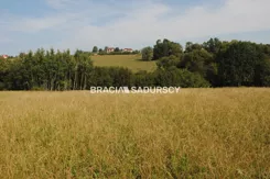 BS1-GS-312657-470 - zdjęcie nr 3