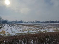 BS5-GS-313856-6 - zdjęcie nr 0