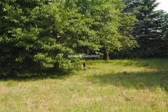 BS1-GS-317394 - zdjęcie nr 1