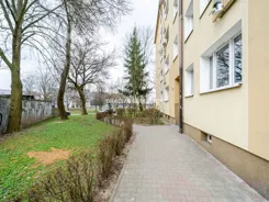 BS1-BS-316983-1 - zdjęcie nr 2