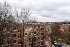 BS1-MS-315134-12 - zdjęcie nr 3