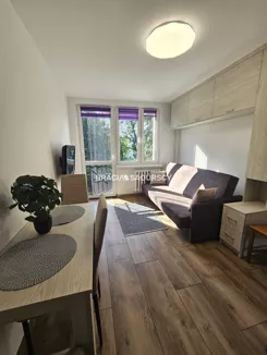 BS3-MW-317368-1 - zdjęcie nr 2