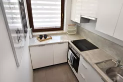 BS3-MS-317641 - zdjęcie nr 4