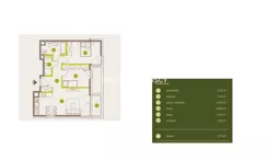 BS2-MS-311677-31 - zdjęcie nr 1