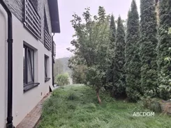 403080235 - zdjęcie nr 1