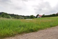401280235 - zdjęcie nr 1